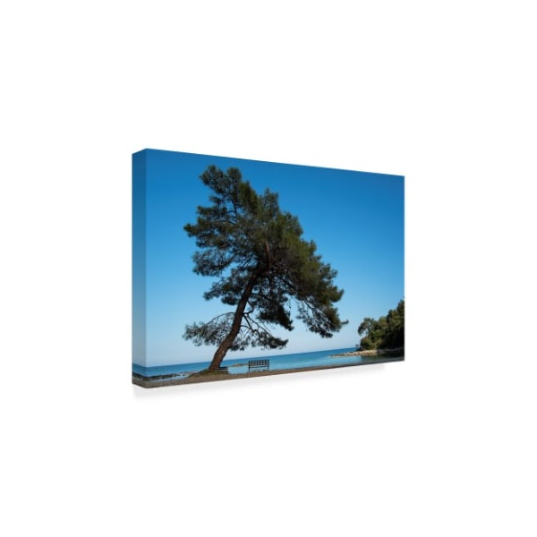 Istv�n Nagy 'Tree At The Sea' Canvas Art,22x32